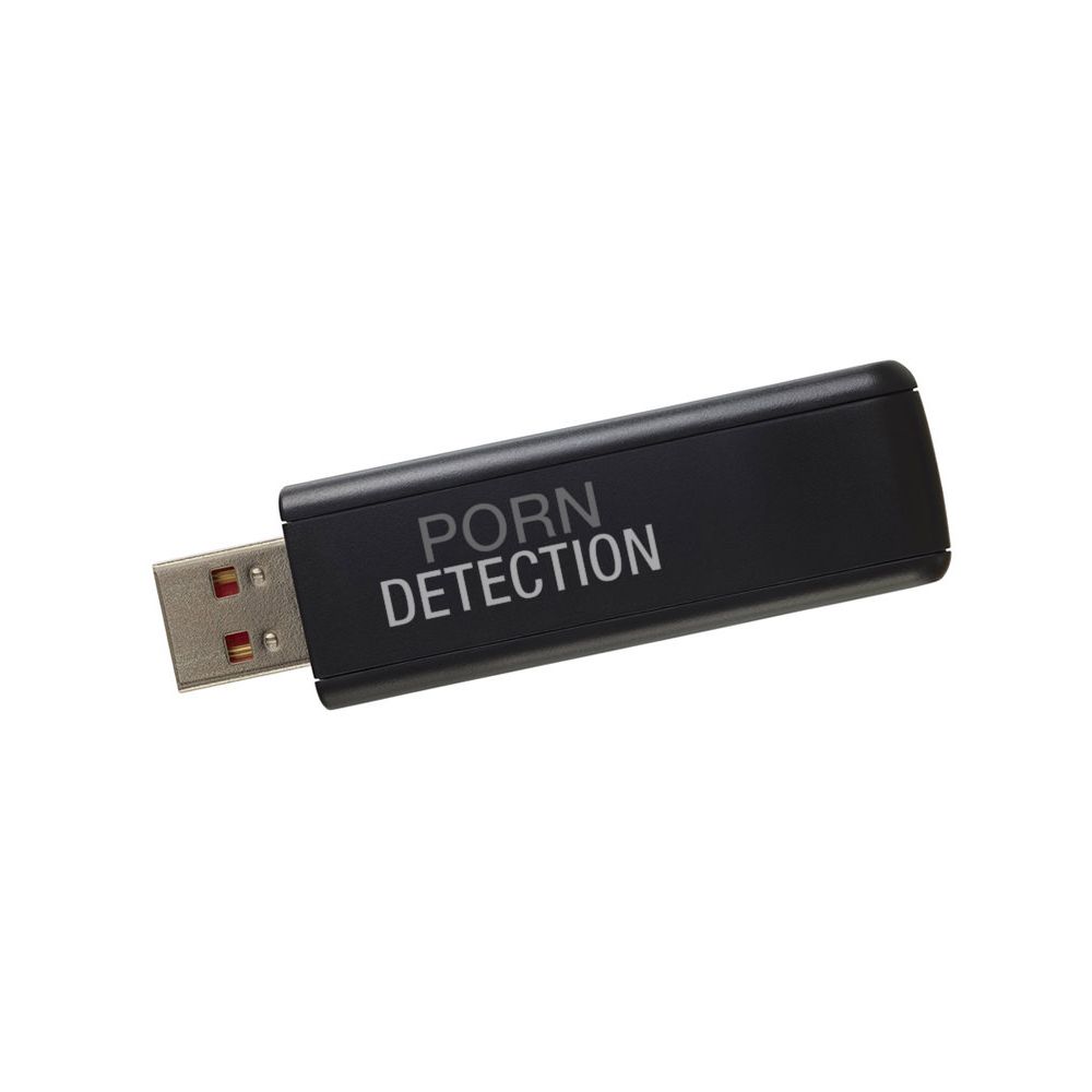 Porn Detection Forensic Stick